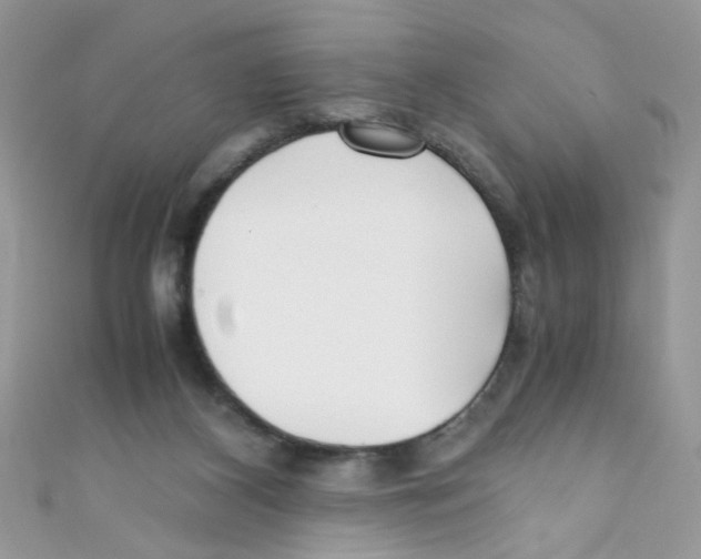 X0000111010116200907171842