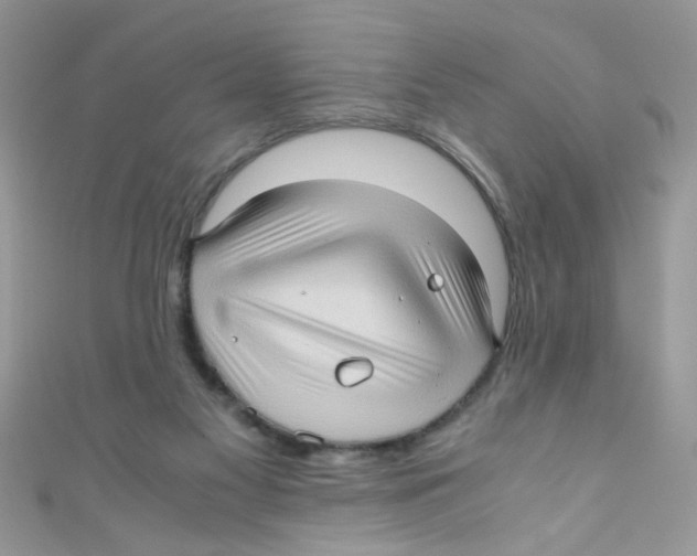 X0000111010117200907171842