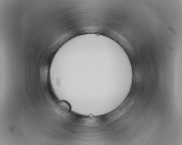 X0000111010118200907171842