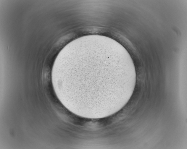 X0000111010119200907171842