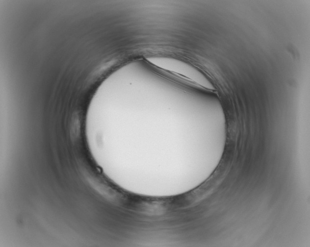 X0000111010120200907171842
