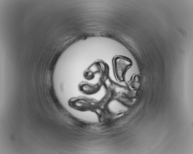X0000111010121200907171842