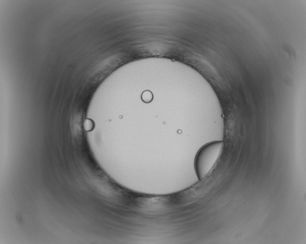X0000111010122200907171842