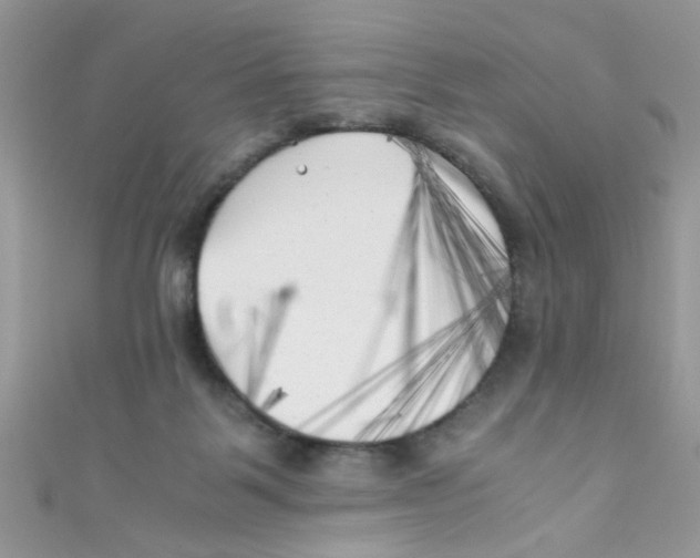 X0000111010123200907171842