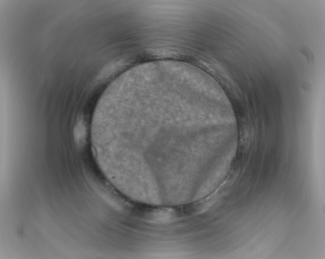 X0000111010124200907171842