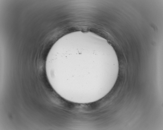 X0000111010125200907171842