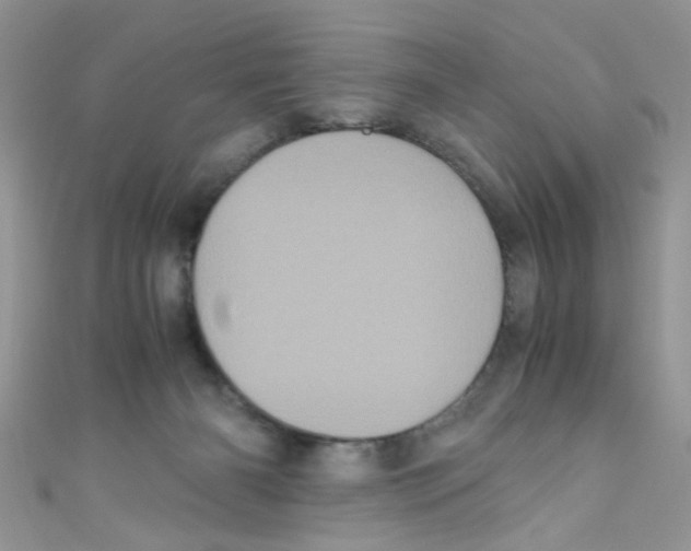 X0000111010126200907171842
