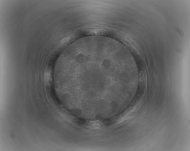 X0000111010127200907171842