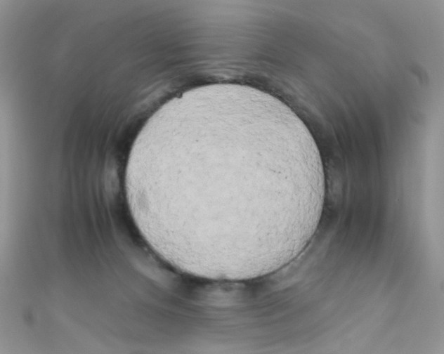 X0000111010128200907171842