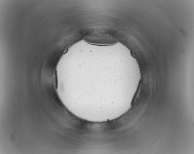 X0000111010129200907171842