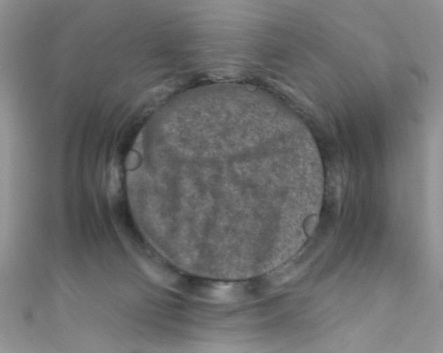 X0000111010130200907171842