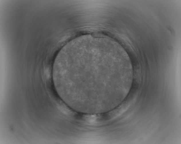 X0000111010131200907171842