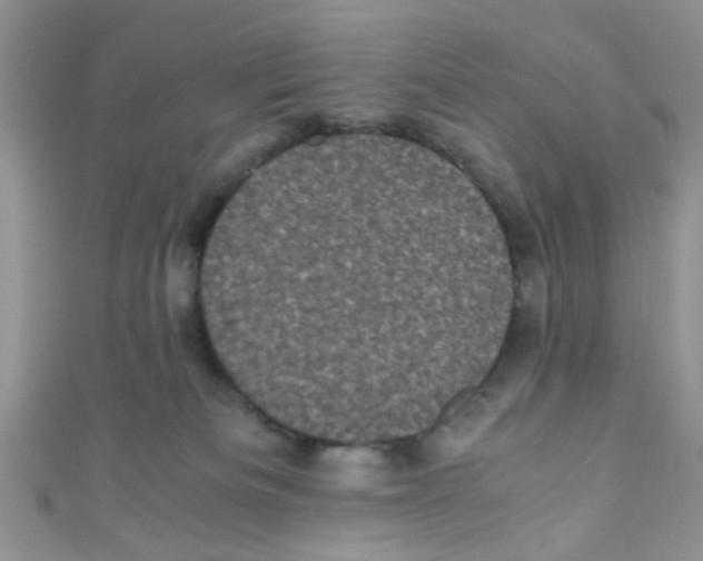 X0000111010133200907171842