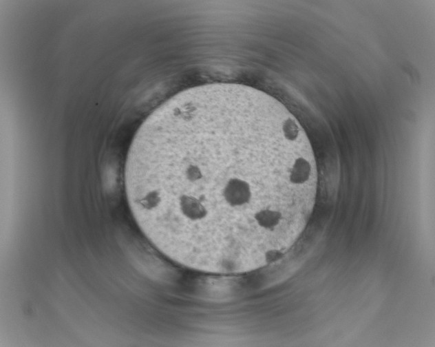 X0000111010134200907171842