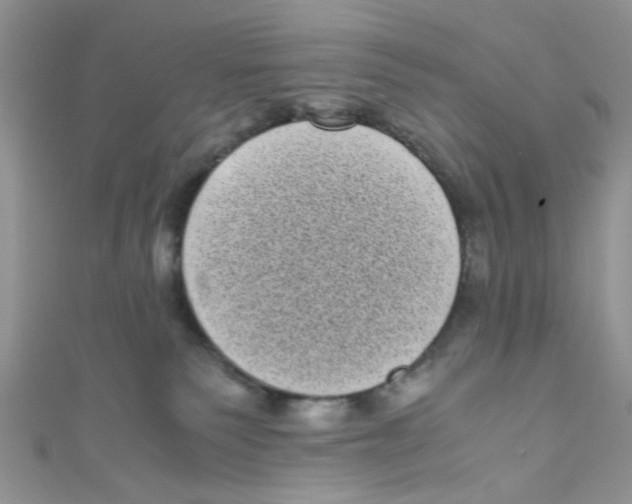 X0000111010135200907171842