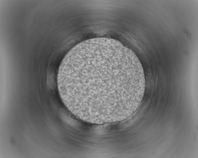 X0000111010136200907171842