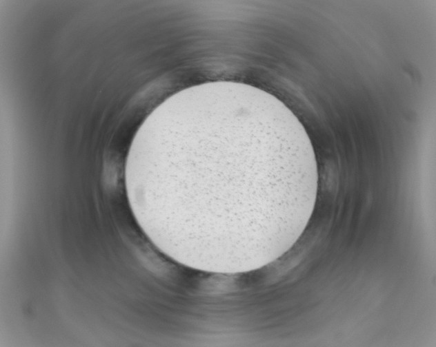 X0000111010138200907171842