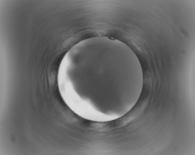 X0000111010139200907171842