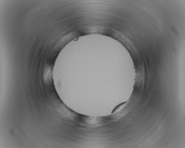 X0000111010142200907171842