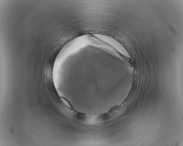 X0000111010143200907171842
