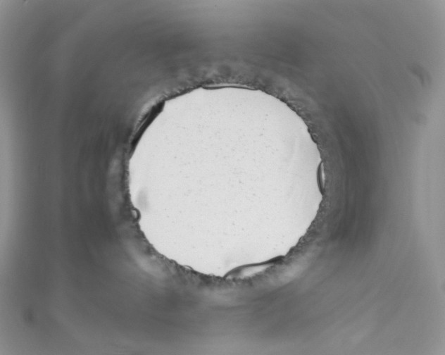 X0000111010144200907171842