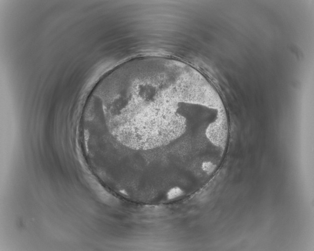 X0000111010145200907171841