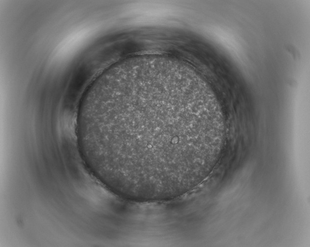 X0000111010146200907171841