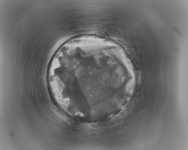 X0000111010147200907171841