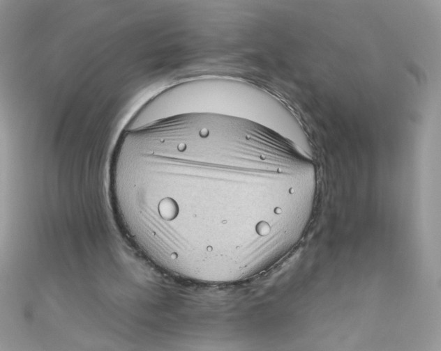 X0000111010148200907171841