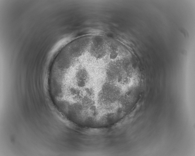 X0000111010149200907171841