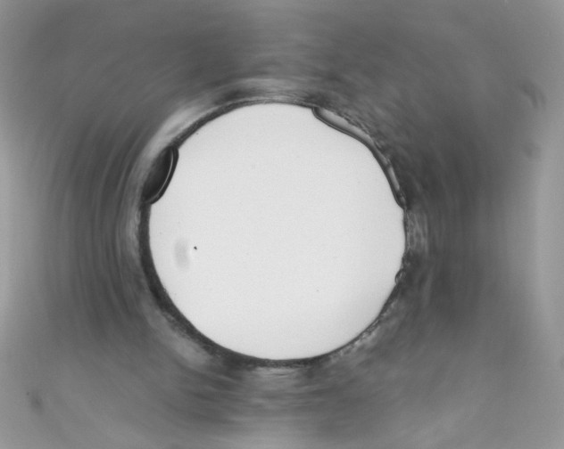 X0000111010150200907171841