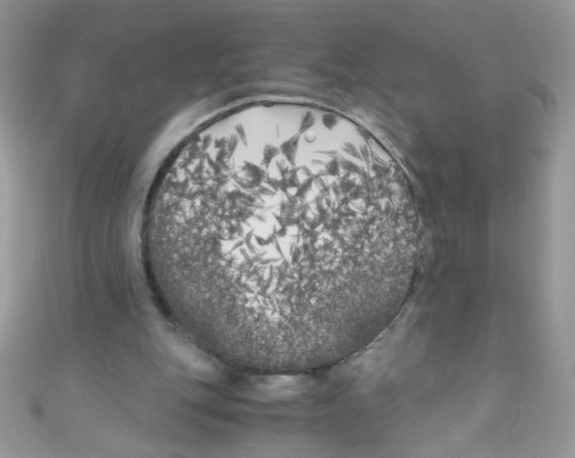 X0000111010151200907171841