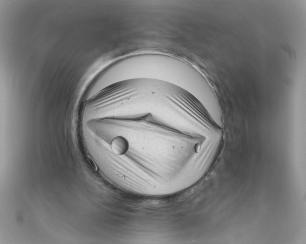 X0000111010152200907171841
