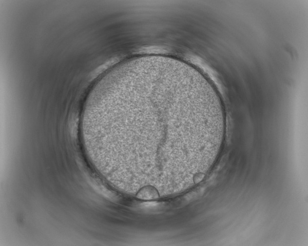 X0000111010153200907171841