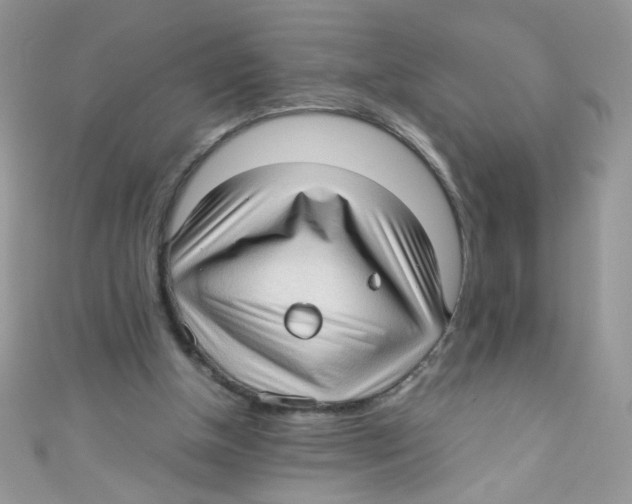 X0000111010154200907171841