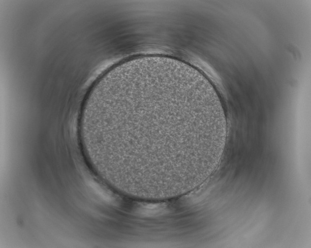 X0000111010155200907171841