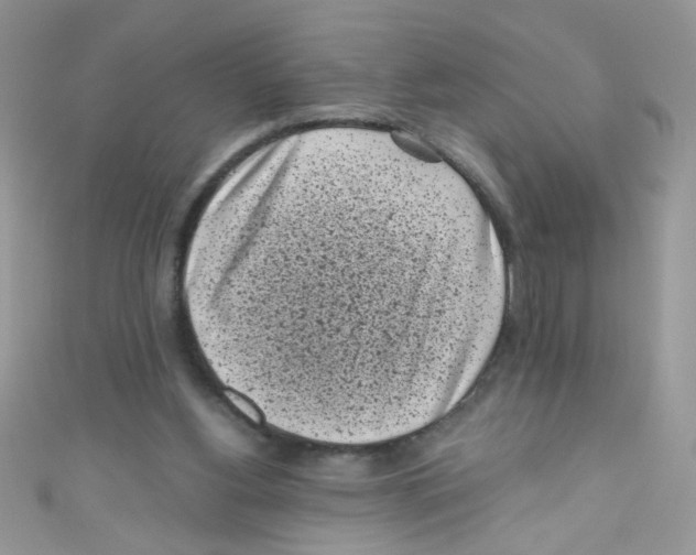 X0000111010156200907171841