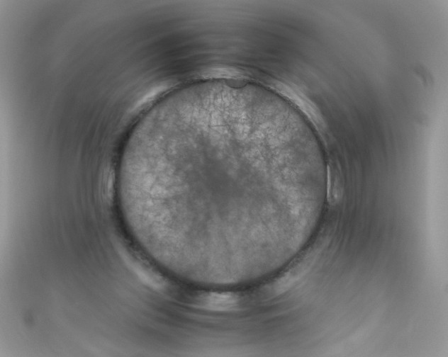 X0000111010157200907171841