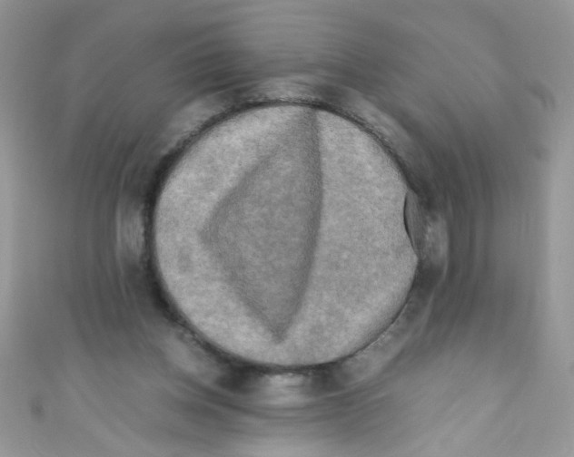 X0000111010158200907171841