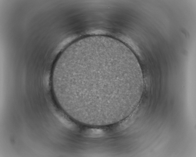 X0000111010159200907171842