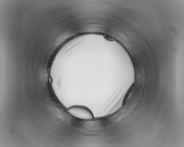 X0000111010160200907171842