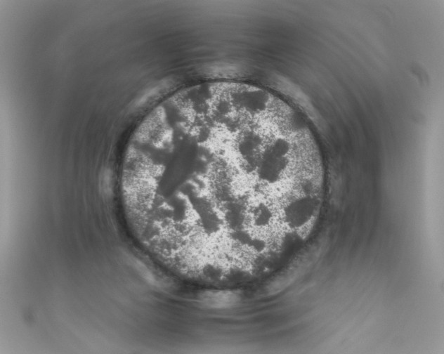 X0000111010161200907171842