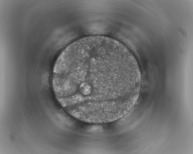 X0000111010162200907171842