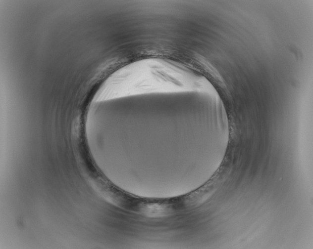 X0000111010163200907171842
