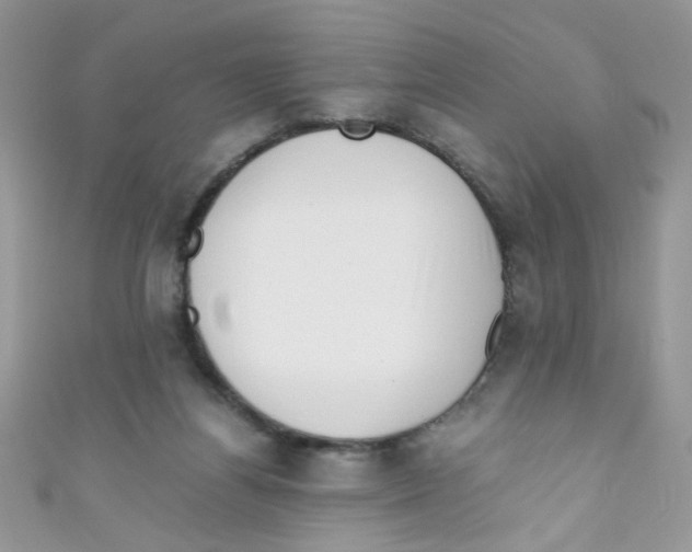 X0000111010164200907171842