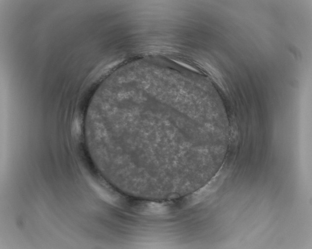 X0000111010166200907171842