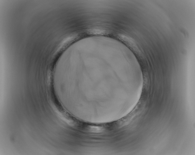 X0000111010167200907171842