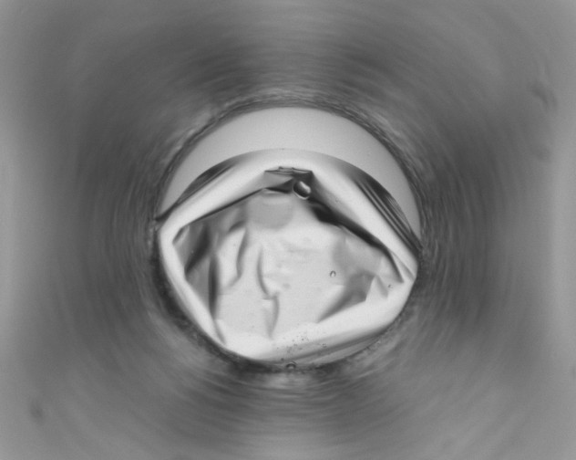 X0000111010168200907171842