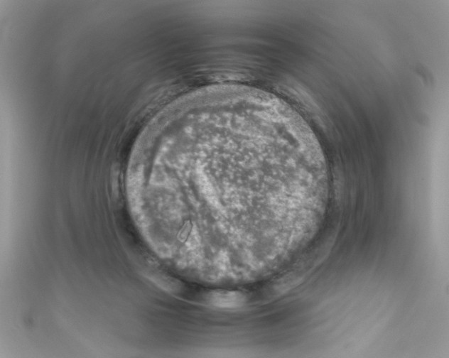 X0000111010169200907171842