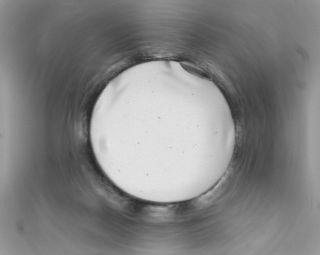 X0000111010170200907171842